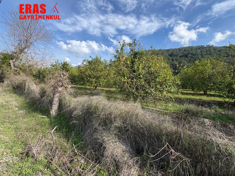 Dalaman'da Denize Ve Havalimanna Yakn Konumda Satlk 20.450 M2 Arazi