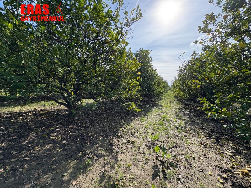 Dalaman'da Denize Ve Havalimanna Yakn Konumda Satlk 20.450 M2 Arazi