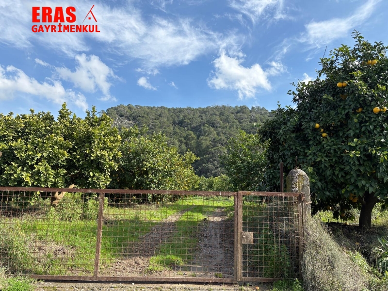 Dalaman'da Denize Ve Havalimanna Yakn Konumda Satlk 20.450 M2 Arazi