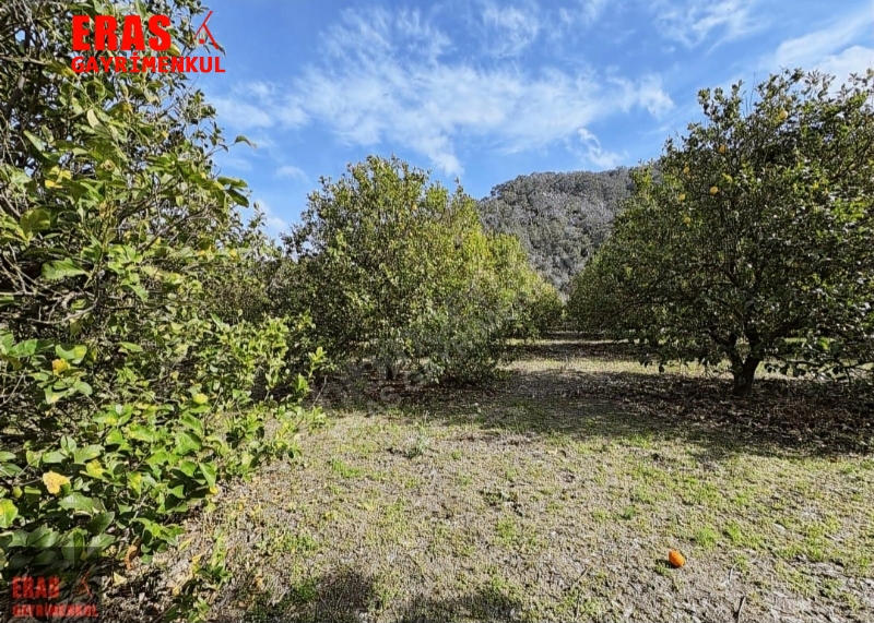 Dalaman'da Denize Ve Havalimanna Yakn Konumda Satlk 20.450 M2 Arazi