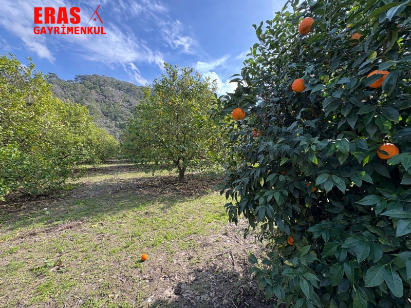 Dalaman'da Denize Ve Havalimanna Yakn Konumda Satlk 20.450 M2 Arazi