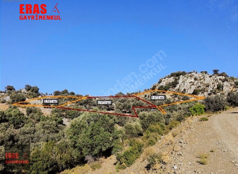 Dalaman'da Sat�l�k Deniz Ve G�l Manzaral� Tarla