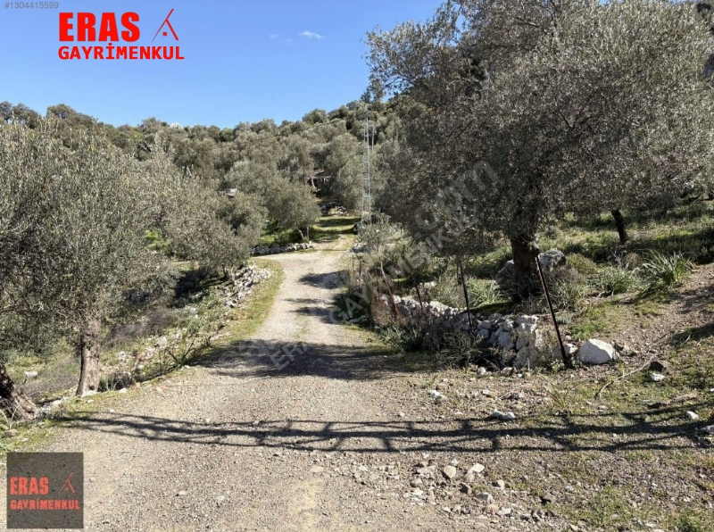 Dalaman'da Sat�l�k Deniz Ve G�l Manzaral� Tarla