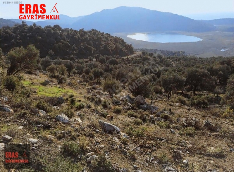 Dalaman'da Sat�l�k Deniz Ve G�l Manzaral� Tarla