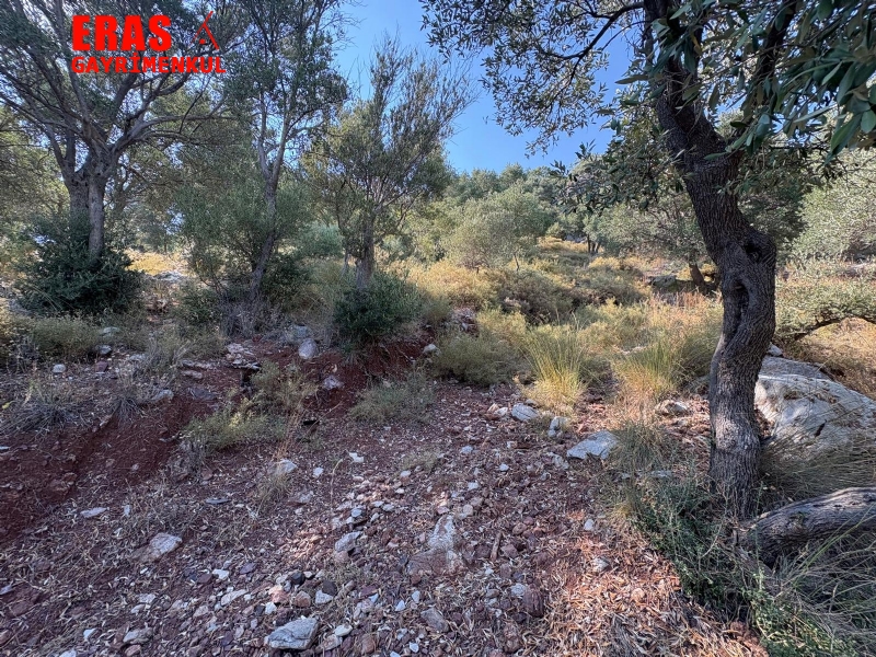 Ortaca Sargerme'de Satlk Deniz Manzaral Yatrmlk 2.096 Arazi