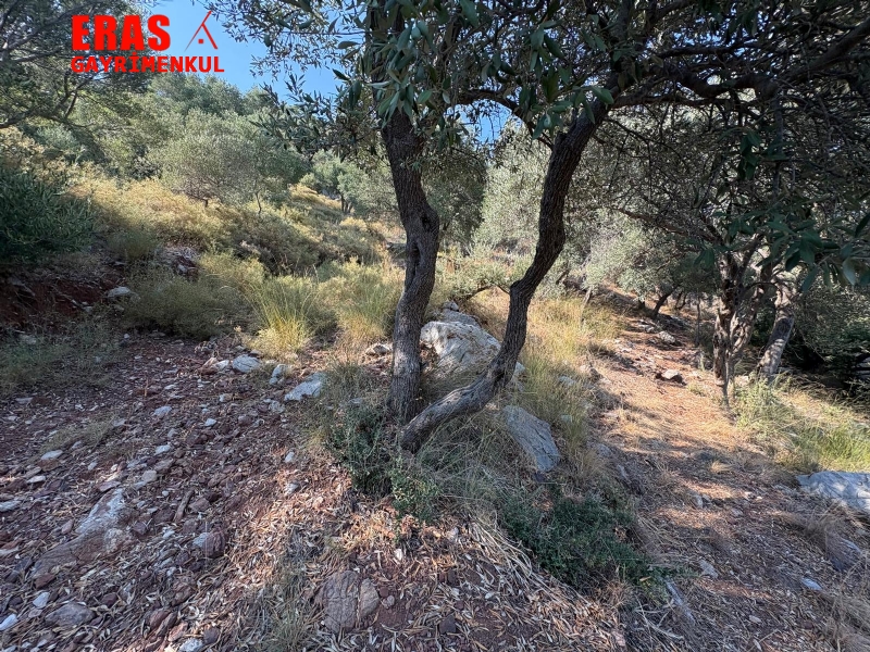 Ortaca Sargerme'de Satlk Deniz Manzaral Yatrmlk 2.096 Arazi