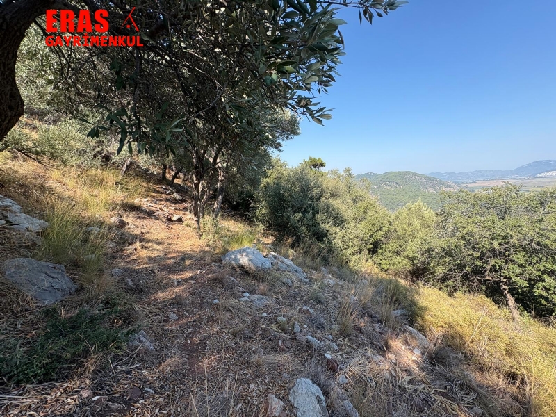 Ortaca Sargerme'de Satlk Deniz Manzaral Yatrmlk 2.096 Arazi
