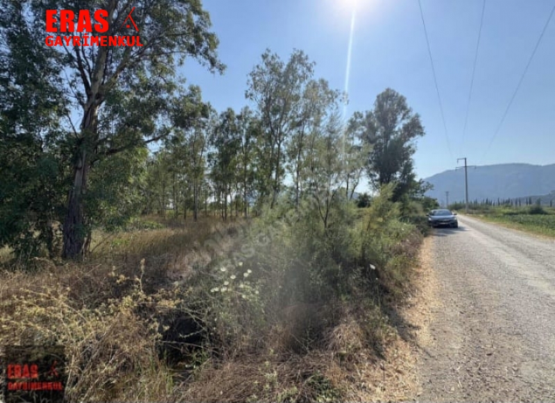 Ortaca Sargerme Yolunda 5001 M2 Satlk Tarla Vasfl Arazi